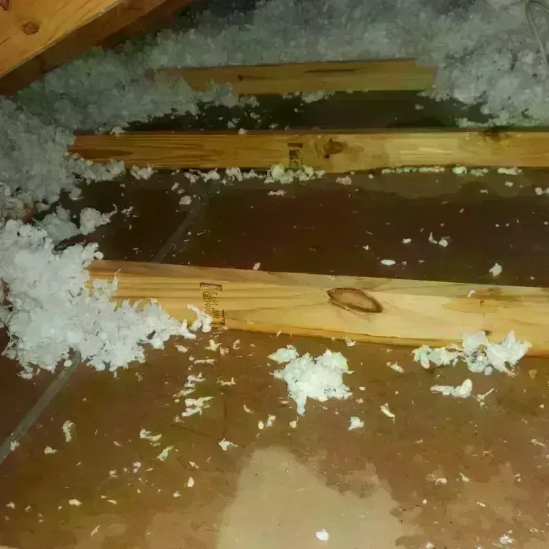 Attic Water Damage in Victoria, KS