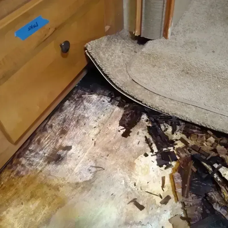 Wood Floor Water Damage in Victoria, KS